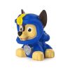 PAW PATROL 6058528 НАБОР ФИГУРОК BATH SQUIRTER - CUMP?RA ?N CHI?IN?U, MOLDOVA - UNO.MD