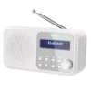 ПОРТАТИВНОЕ РАДИО SHARP DR-P420WHV01, БЕЛЫЙ