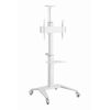 SUPORT DE PODEA 37” - 70”, GEMBIRD ”TVS-70T-02-W”, WHITE