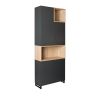 DULAP EVOCAB 800X342X2209H