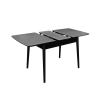 MASA EXTENSIBILA GRANNA GREY+BLACK LEGS