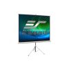 ШТАТИВ С МЕХАНИЗМОМ ОПУСКАНИЯ ELITE SCREENS T99NWS1 / 99”(1:1) / WHITE