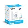 TP-LINK TAPO P100(1-PACK)