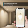 TP-LINK TAPO L610 | SMART WI-FI SPOTLIGHT, DIMMABLE