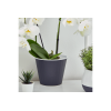 114036 GHIVECI DE FLORI "IBIS" CU FUND DUBLU 17,9X14,7CM