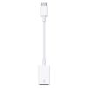 APPLE USB-C TO USB ADAPTER