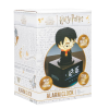 DESTEPTATOR PALADONE HARRY POTTER ICON ALARM CLOCK PP11773HP