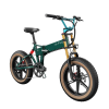 ELECTRIC BICYCLE FIIDO M1PRO GREEN/BLUE  (M2026)