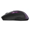 БЕCПРОВОДНАЯ МЫШЬ CANYON MW-01, ЧЁРНЫЙ/ФИОЛЕТОВЫЙ