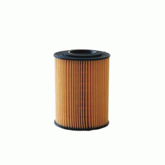 Масляный фильтр Filtron OE648/8