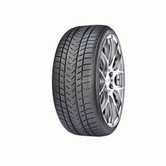 Шина GRIPMAX 265/30 R19 Status Pro Winter 93V XL