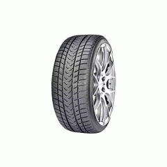 Шина GRIPMAX 235/30 R20 Status Pro Winter 88V