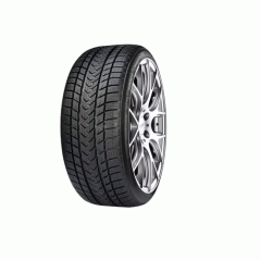 Шина GRIPMAX 255/35 R21Status Pro Winter 98V