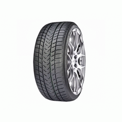 Шина GRIPMAX 265/40 R21 Status Pro Winter 105V XL