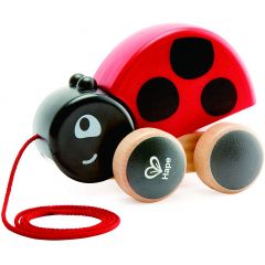 HAPE E0362A Деревянная игрушка "Божья коровка"