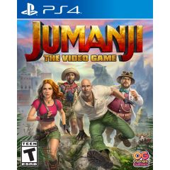 The Video Game PlayStation 4