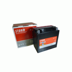 Аккумулятор Fiamm Moto FTX14-BS (7902877)