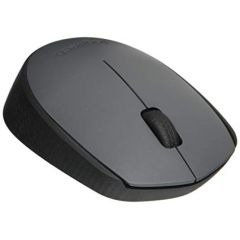 Logitech Wireless Mouse M170 Grey, Optical Mouse for Notebooks,