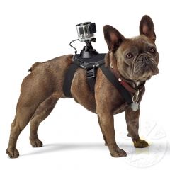 Крепление-упряжка для собак GoPro Fetch Dog Harness