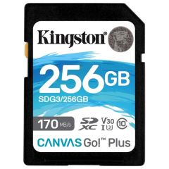 Карта памяти Kingston Canvas Go! Plus SD 256GB