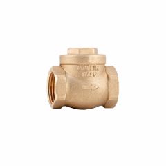 ОБРАТНЫЙ КЛАПАН ЛЕПЕСТКОВЫЙ 1"FF Barberi