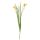 FLOARE DECORATIVA IRIS~GALBEN