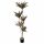 ARBORE DRACAENA RED 220