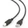 ADAPTOR USB CABLEXPERT CCP-USB2-AMBM-1M, USB TYPE-A/USB TYPE-B, 1M, NEGRU
