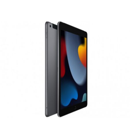 Apple iPad 10.2 2021 256Gb WiFi Space Grey