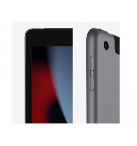 Apple iPad 10.2 2021 256Gb WiFi Space Grey