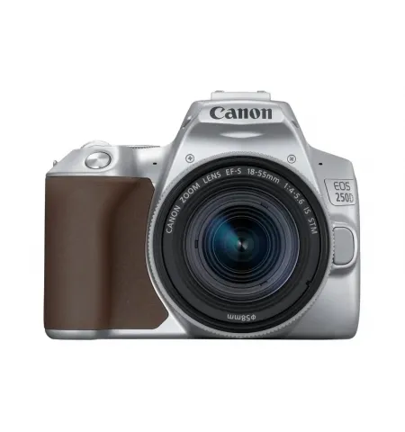 Aparat foto DSLR Canon EOS 250D + EF-S 18-55mm F4-5.6 IS STM, Argintiu