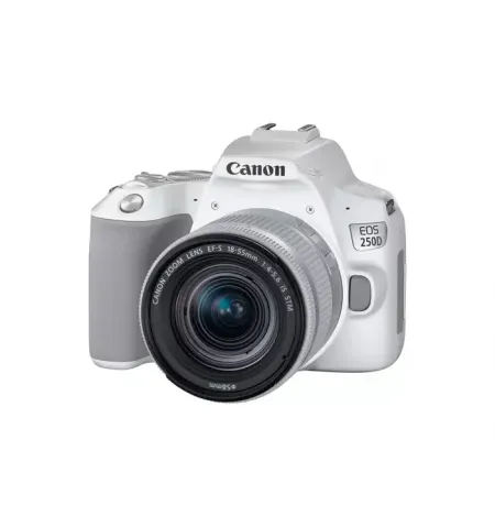 Зеркальный фотоаппарат Canon EOS 250D + EF-S 18-55 IS, Белый