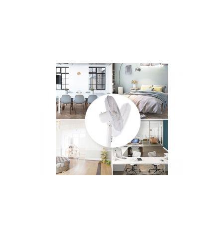 Вентилятор напольный First FA-5553-1 Вентилятор напольный First FA-5553-1