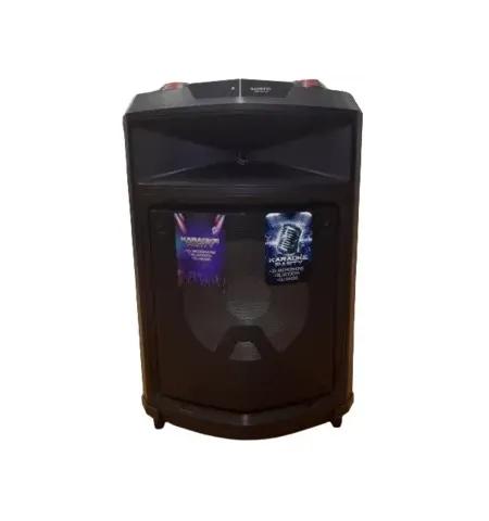 Активная акустика ZANETTI BOX 13 MM DISCO