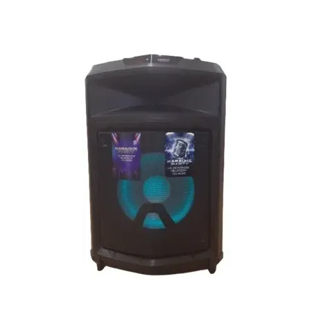 Активная акустика ZANETTI BOX 13 MM DISCO