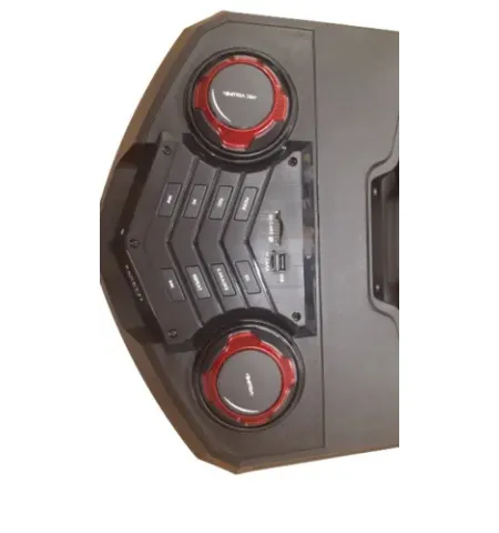 Активная акустика ZANETTI BOX 13 MM DISCO