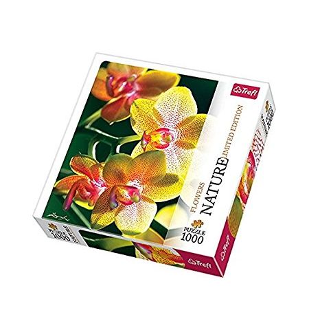 10503 Trefl Puzzles - "1000" - Nature Limited edition Flowers Orchidea 10503 Trefl Puzzles - "1000" - Nature Limited edition Flowers Orchidea