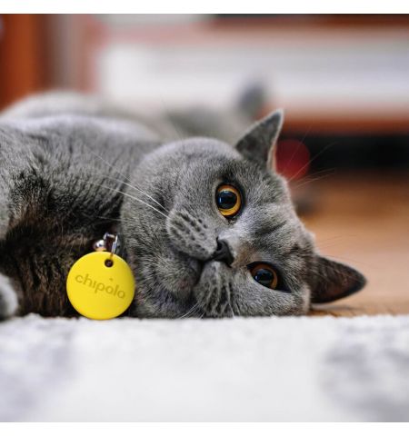 CHIPOLO ONE, Yellow (For keys / backpack / bag, Use the Chipolo app CHIPOLO ONE, Yellow (For keys / backpack / bag, Use the Chipolo app