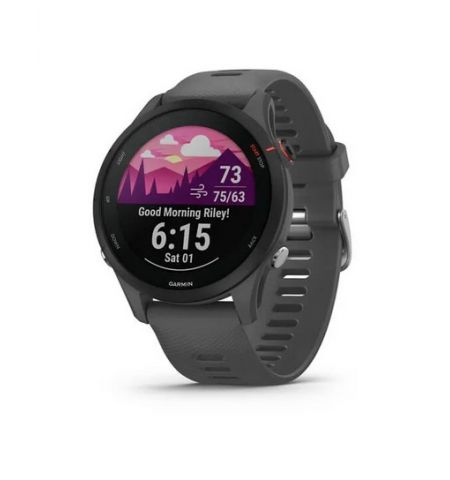 Умные часы Garmin Forerunner 255, Slate Grey