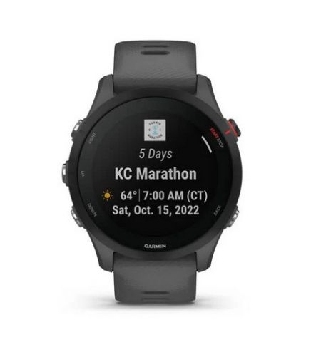 Умные часы Garmin Forerunner 255, Slate Grey Умные часы Garmin Forerunner 255, Slate Grey