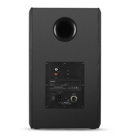 SVEN MC-30 Black, 2.0 / 2x100W RMS, D-CLASS AMPLIFIER WITH DSP, remote