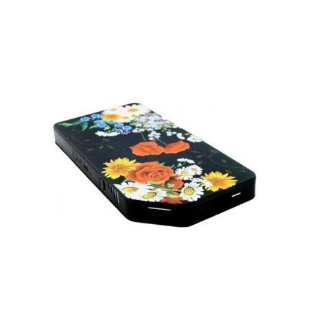 i-Paint Black Flower 3000мАч