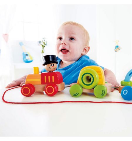 Hape E0431A Деревянная игрушка. Игровой поезд Hape E0431A Деревянная игрушка. Игровой поезд