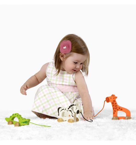 Hape E0907A Деревянная игрушка каталка "Крокодил"