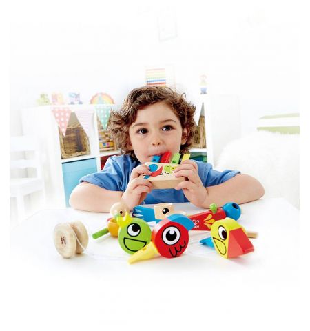 Hape E1025A Деревянная игрушка Флейта Радуга