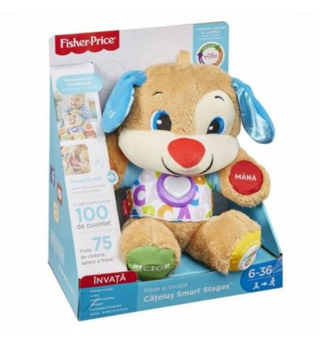 Mattel Fisher-Price FPN99 Ученый щенок Smart Stages (рум)