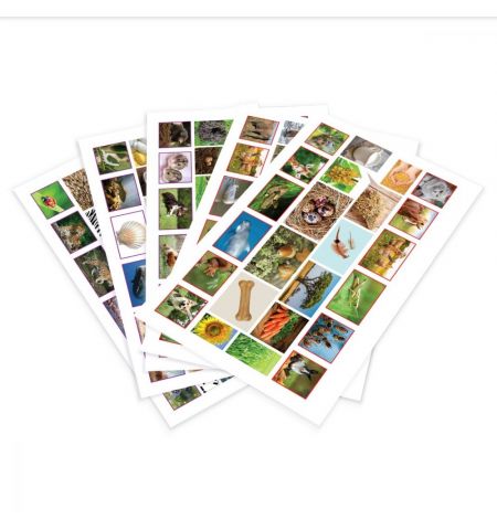 Noriel NOR4406 Интерактивная игра Noriel - Кто знает, тот побеждает  - Царство животных