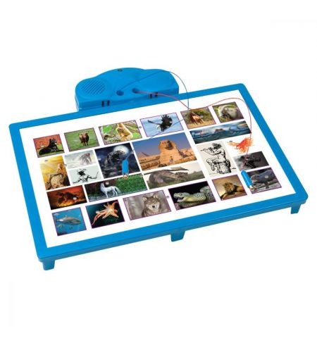 Noriel NOR4406 Интерактивная игра Noriel - Кто знает, тот побеждает  - Царство животных