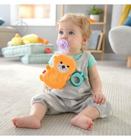 Mattel Fisher-Price GNP46 Игрушка-держатель для пустышки Mattel Fisher-Price GNP46 Игрушка-держатель для пустышки
