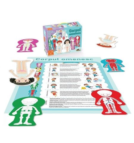 Noriel NOR5434 Пазл "Человеческое тело" Noriel NOR5434 Пазл "Человеческое тело"